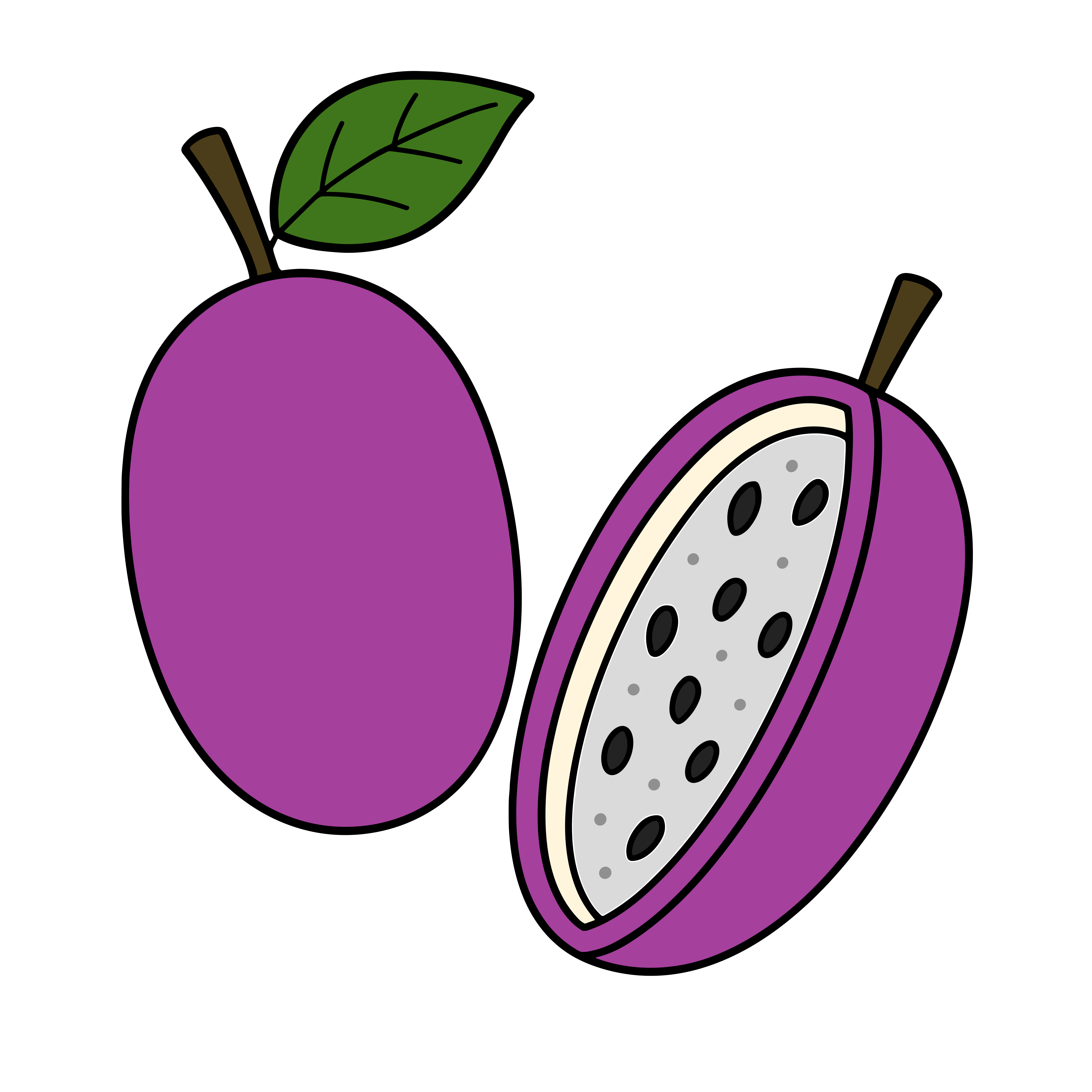 かわいいアケビのイラスト素材。簡単・無料でダウンロードできる秋の果物アイコン。