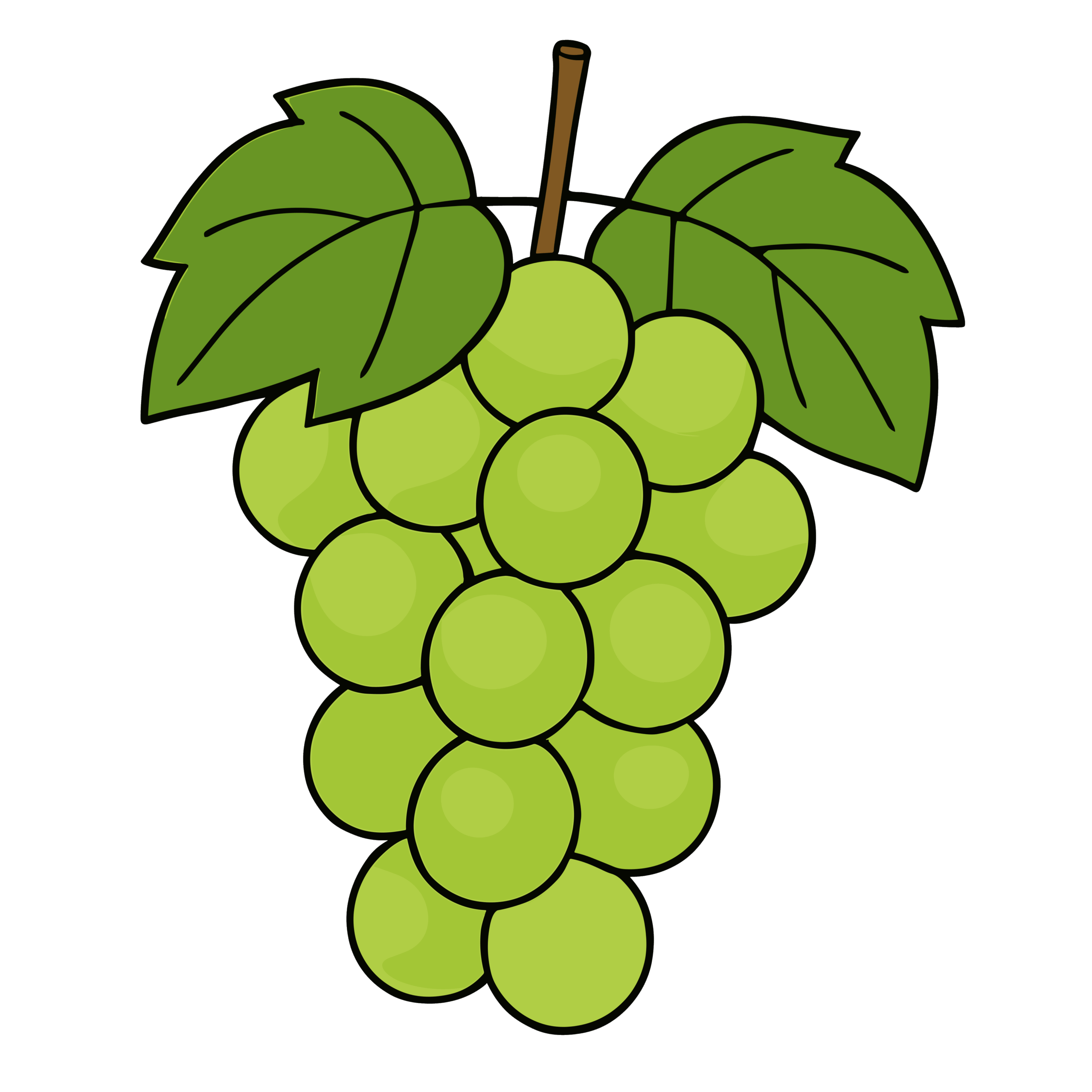 かわいいマスカットの簡単・無料イラスト素材。ダウンロードできる秋の果物アイコンに最適。