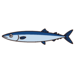 かわいいサンマの簡単・無料イラスト素材。ダウンロードできる秋の味覚アイコンに最適。