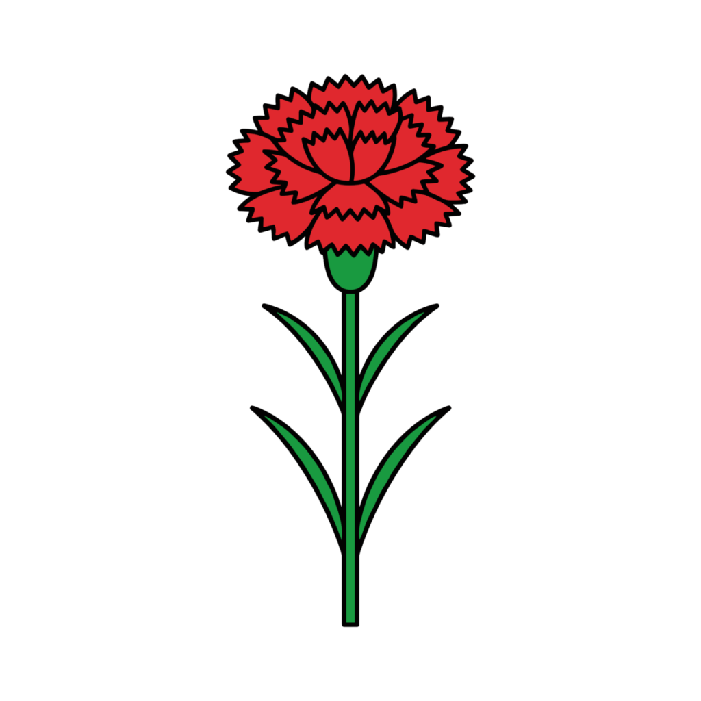 赤いカーネーション1輪のかわいいイラスト。母の日に簡単に使える背景透過PNGのフリー素材