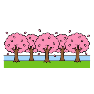満開の桜の木が並んで咲いている春らしいかわいいイラスト