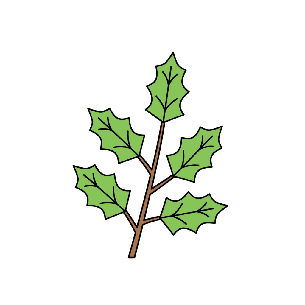 節分に使われる柊の枝を描いたかわいいイラスト素材