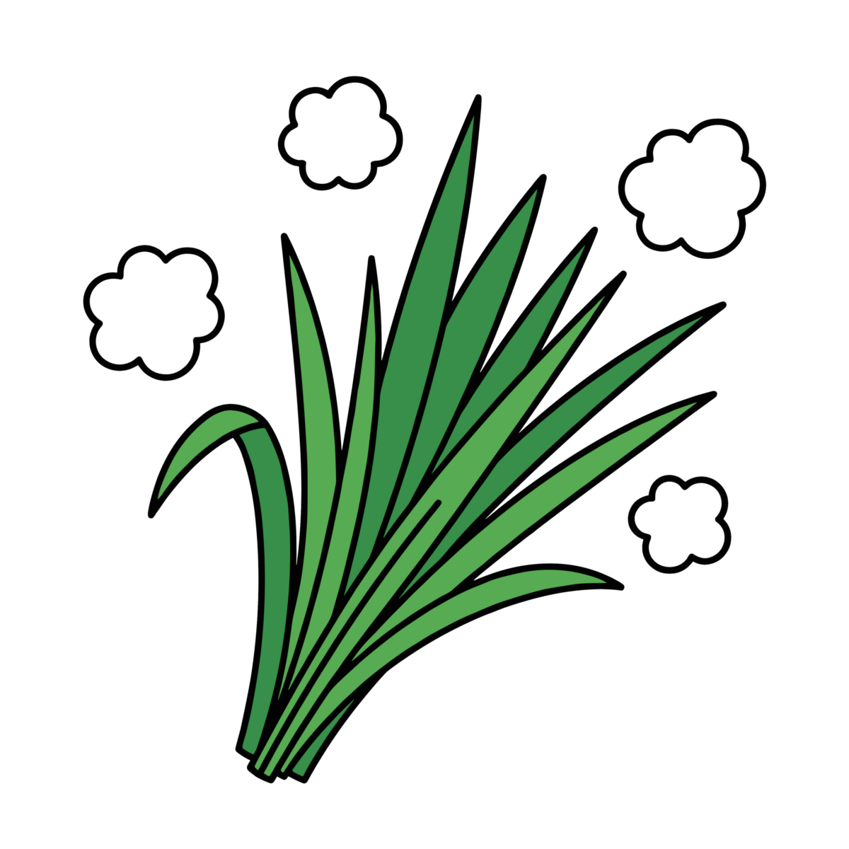 端午の節句に使われる菖蒲の葉のイラスト