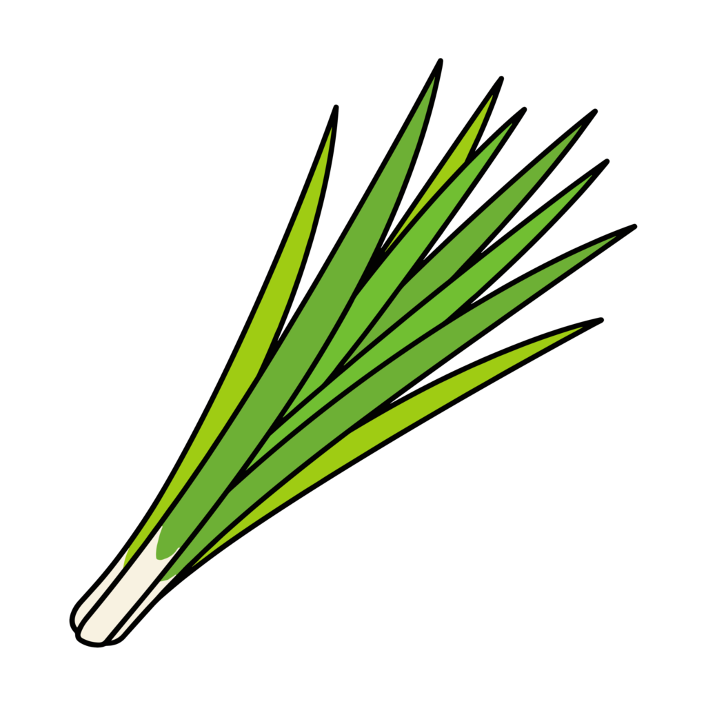 端午の節句をイメージした菖蒲の葉のイラスト