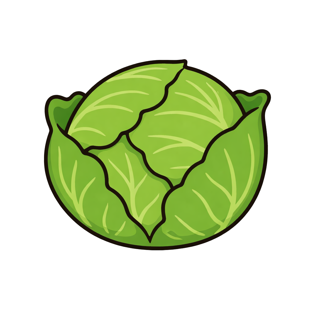 キャベツのイラスト