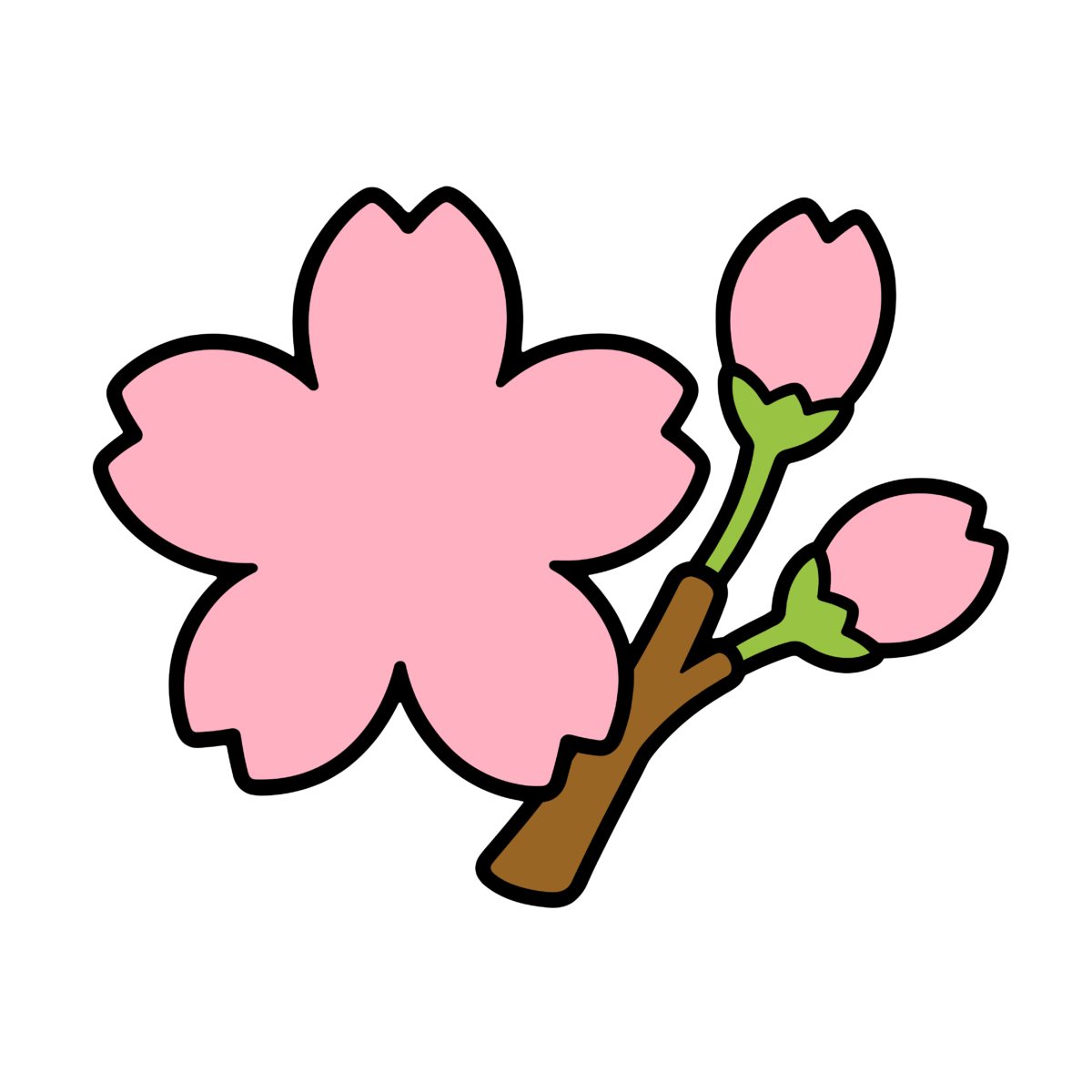 さくらの花のイラスト(カラー)