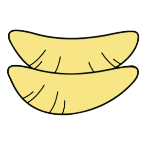 数の子