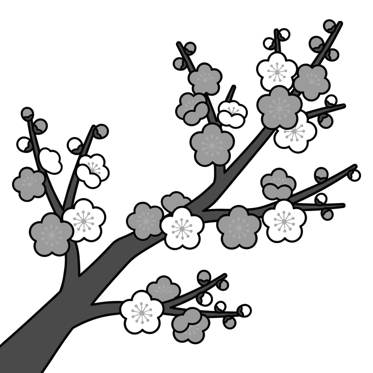 梅の花（枝ぶり・紅白）のイラスト無料ダウンロード（モノクロ）
