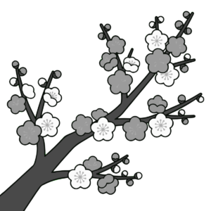 梅の花（枝ぶり・紅白）のイラスト無料ダウンロード（モノクロ）
