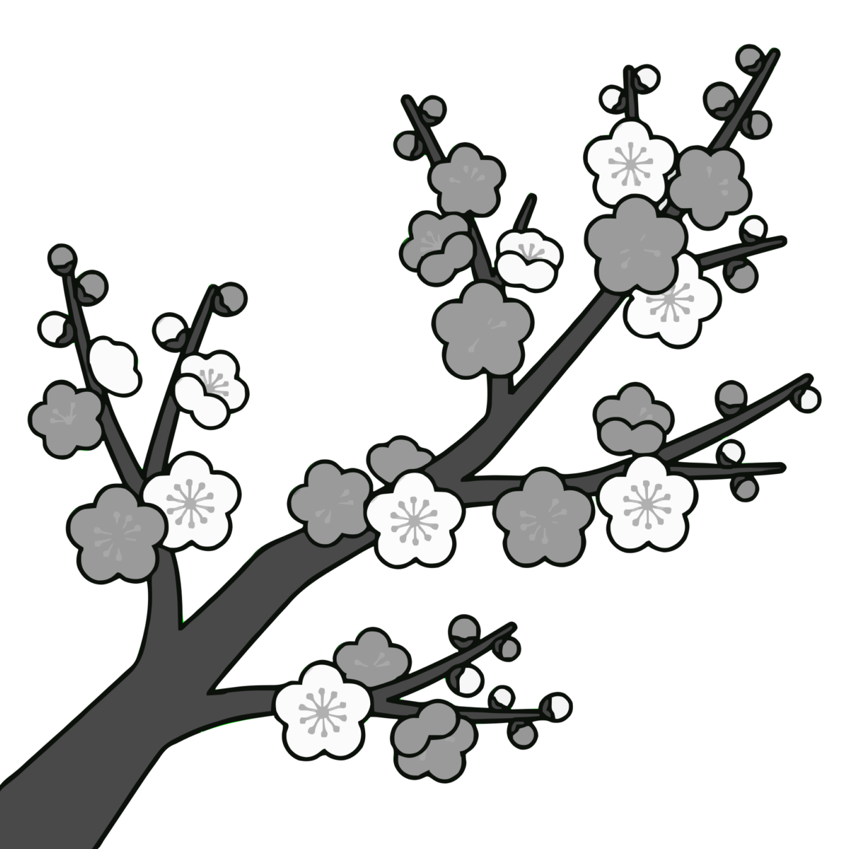 梅の花（枝ぶり・紅白）のイラスト無料ダウンロード（モノクロ）