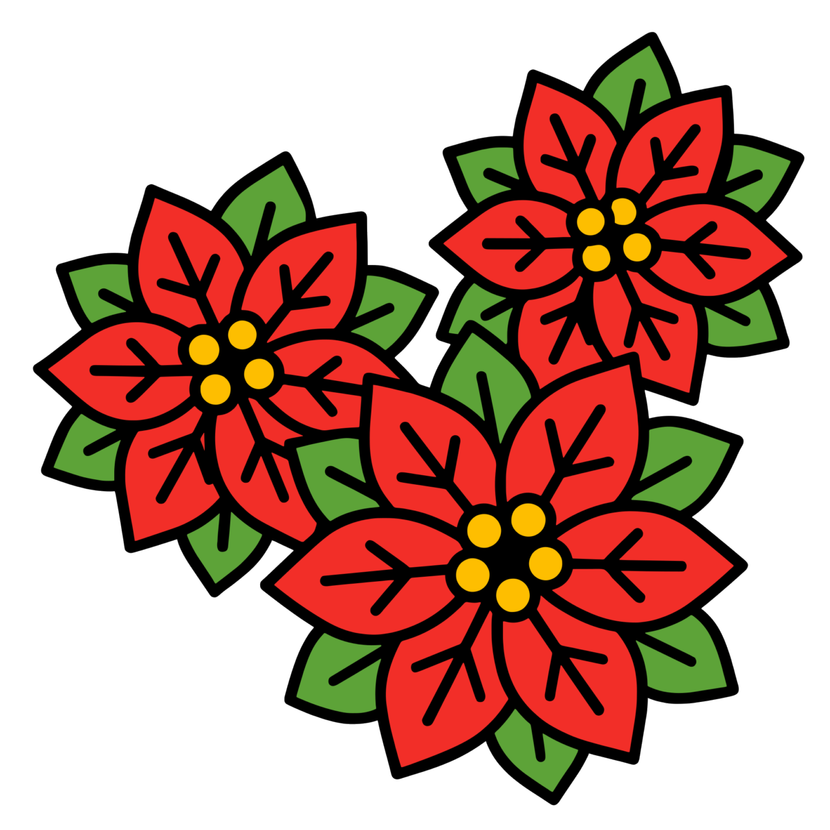 クリスマスのポインセチアの花のイラスト無料ダウンロード（カラー）
