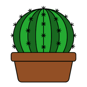 サボテンの鉢植え