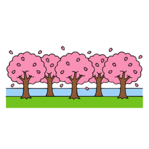 桜並木