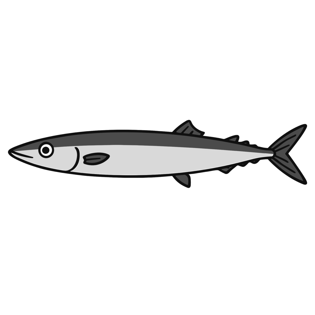 サンマのイラスト無料ダウンロード(モノクロ)