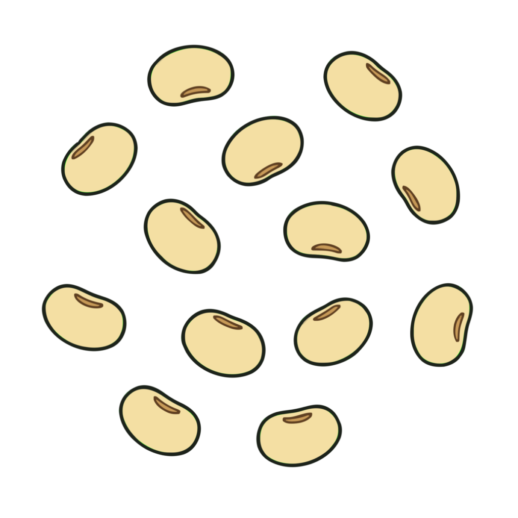節分の豆のイラスト無料ダウンロード（カラー）
