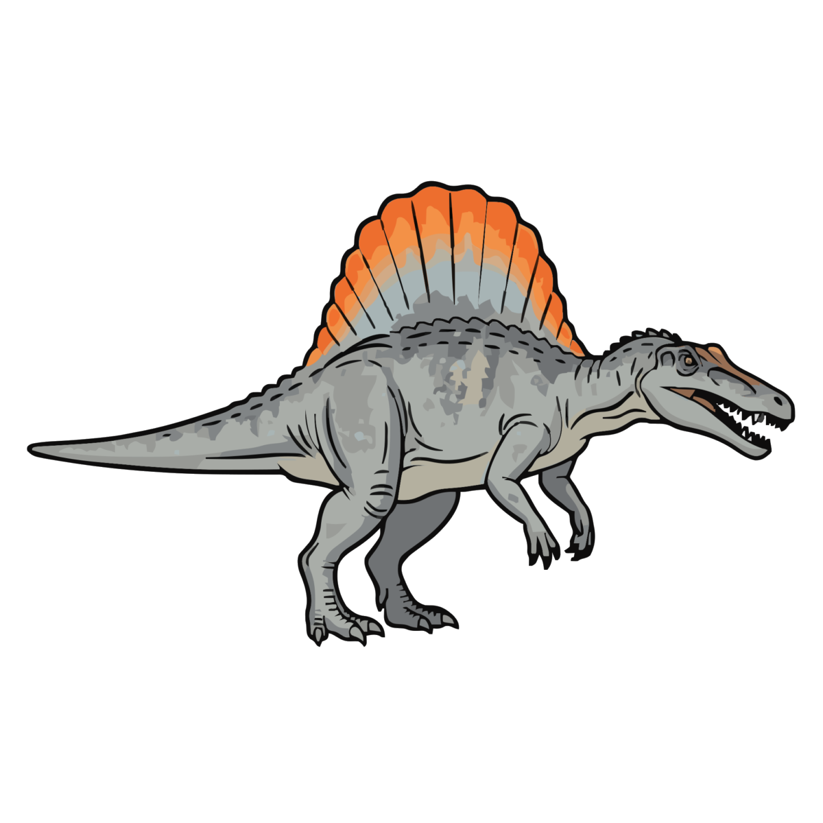 スピノサウルス(リアル)のイラスト無料ダウンロード(カラー)