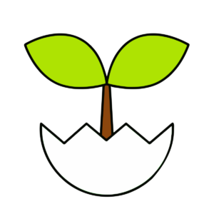 芽が出た卵